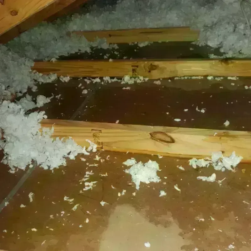 Attic Water Damage in Advance, NC