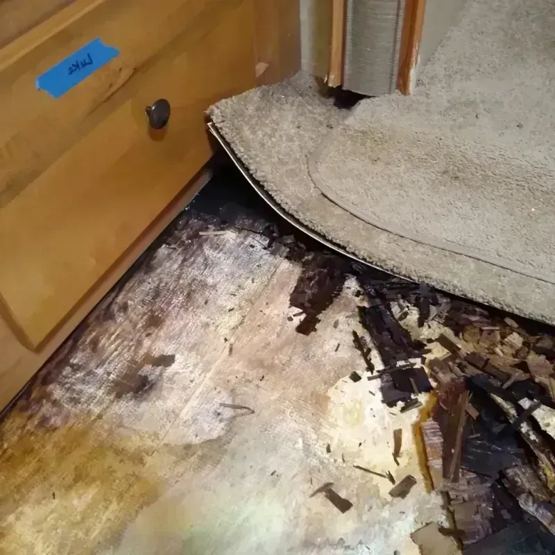 Wood Floor Water Damage in Advance, NC